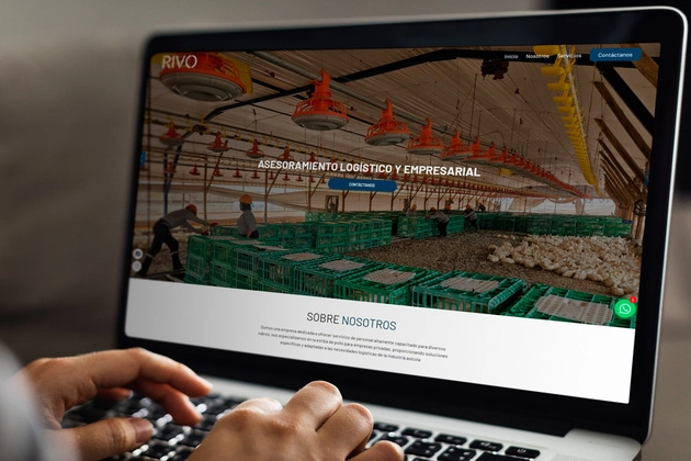 Pagina web - Desarrollo web - SEO - Exportandonline Pagina web - Desarrollo web - SEO - Exportandonline